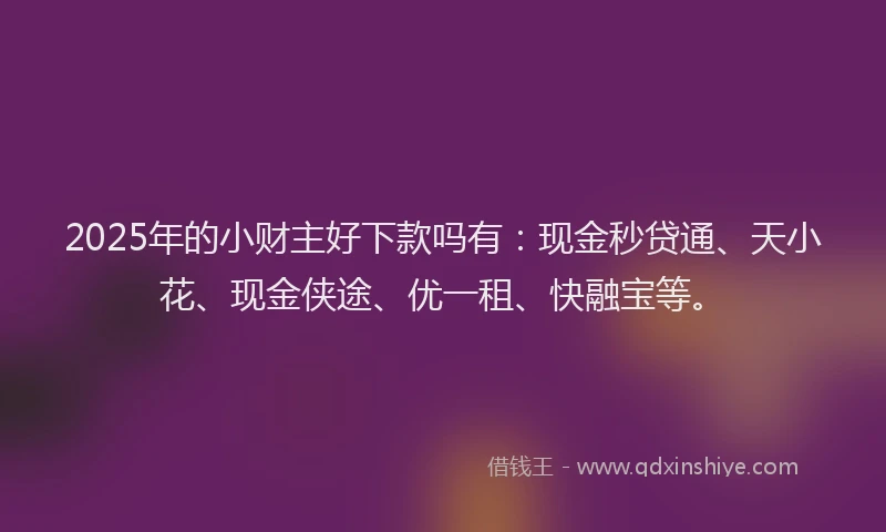 2025年的小财主好下款吗有：现金秒贷通、天小花、现金侠途、优一租、快融宝等。