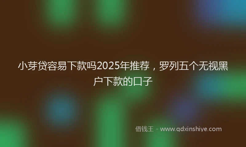 小芽贷容易下款吗2025年推荐，罗列五个无视黑户下款的口子