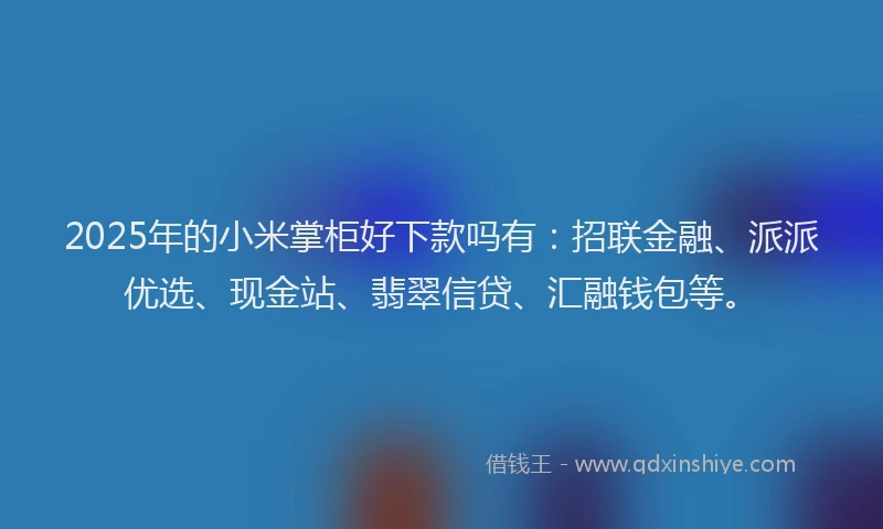 2025年的小米掌柜好下款吗有：招联金融、派派优选、现金站、翡翠信贷、汇融钱包等。