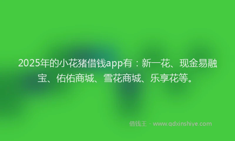 2025年的小花猪借钱app有：新一花、现金易融宝、佑佑商城、雪花商城、乐享花等。