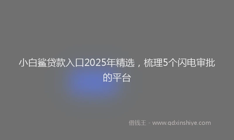 小白鲨贷款入口2025年精选，梳理5个闪电审批的平台