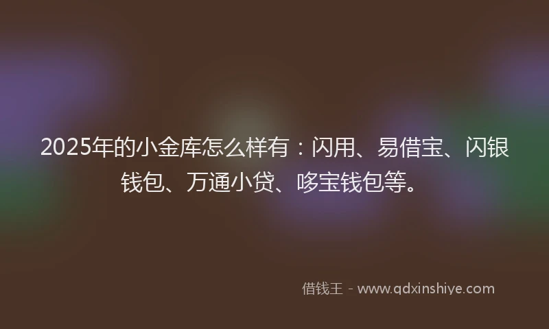 2025年的小金库怎么样有：闪用、易借宝、闪银钱包、万通小贷、哆宝钱包等。