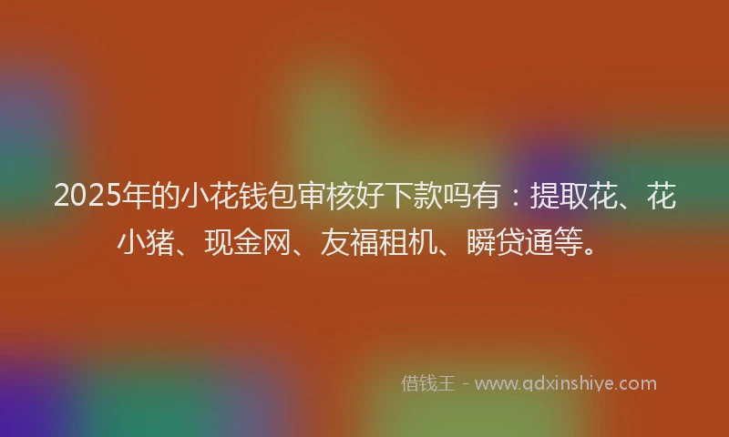 2025年的小花钱包审核好下款吗有：提取花、花小猪、现金网、友福租机、瞬贷通等。