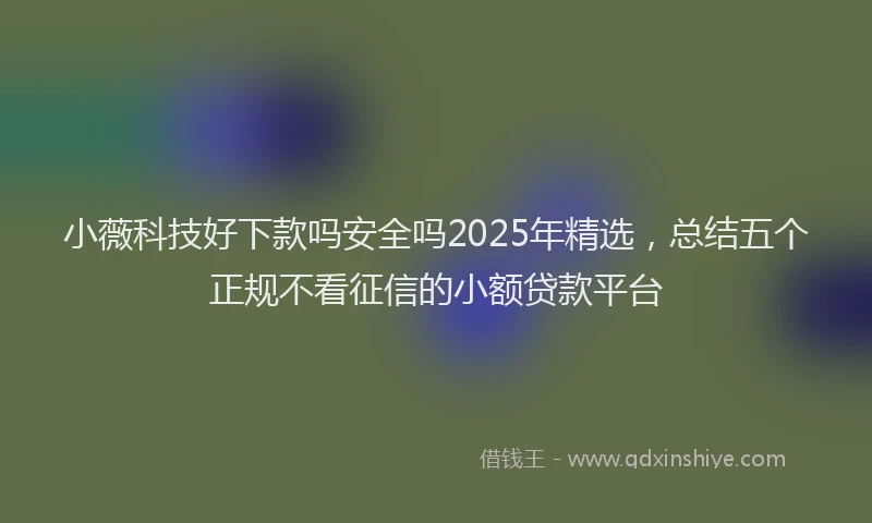 小薇科技好下款吗安全吗2025年精选，总结五个正规不看征信的小额贷款平台