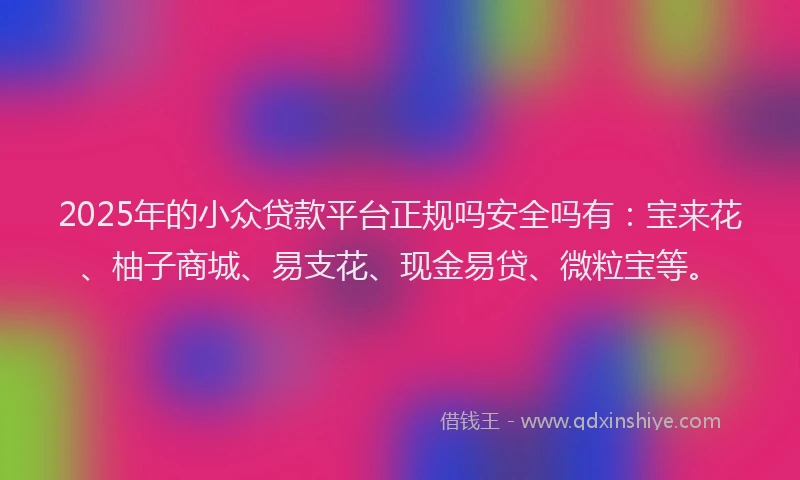 2025年的小众贷款平台正规吗安全吗有：宝来花、柚子商城、易支花、现金易贷、微粒宝等。