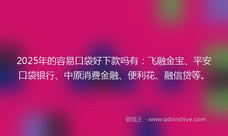 2025年的容易口袋好下款吗有：飞融金宝、平安口袋银行、中原消费金融、便利花、融信贷等。