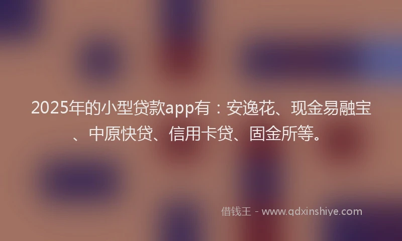 2025年的小型贷款app有：安逸花、现金易融宝、中原快贷、信用卡贷、固金所等。