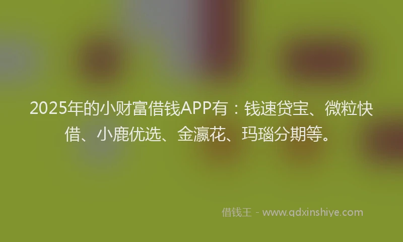 2025年的小财富借钱APP有：钱速贷宝、微粒快借、小鹿优选、金瀛花、玛瑙分期等。