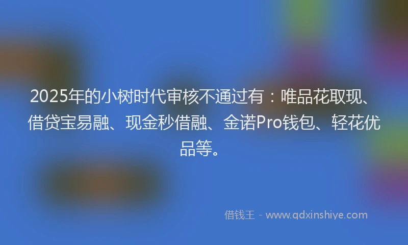 2025年的小树时代审核不通过有：唯品花取现、借贷宝易融、现金秒借融、金诺Pro钱包、轻花优品等。