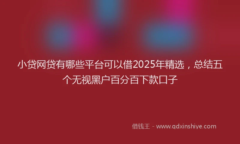 小贷网贷有哪些平台可以借2025年精选，总结五个无视黑户百分百下款口子