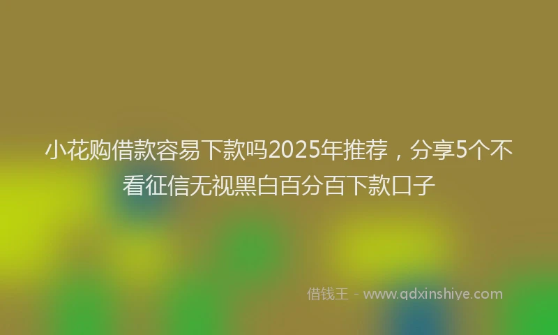 小花购借款容易下款吗2025年推荐，分享5个不看征信无视黑白百分百下款口子