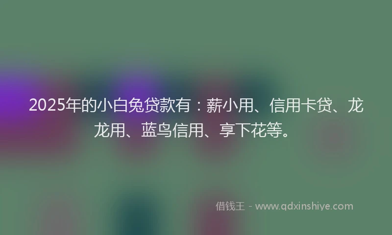 2025年的小白兔贷款有：薪小用、信用卡贷、龙龙用、蓝鸟信用、享下花等。