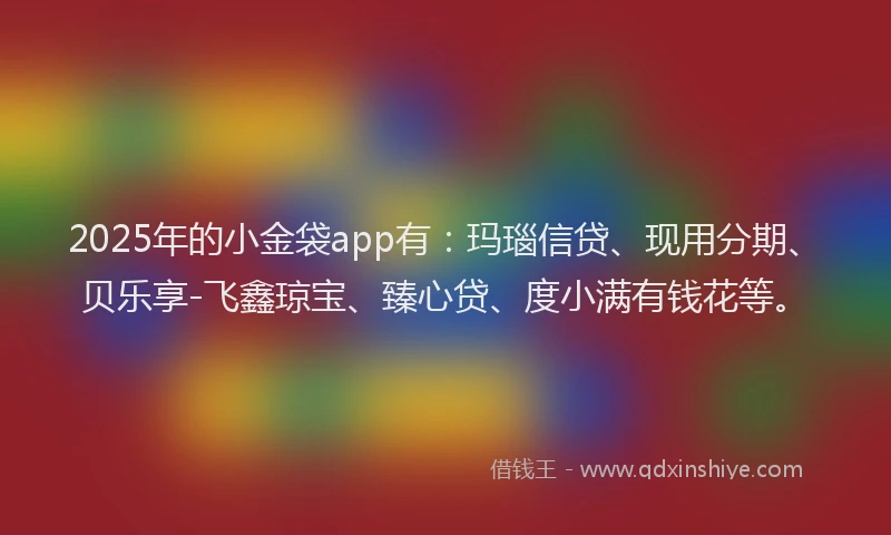 2025年的小金袋app有：玛瑙信贷、现用分期、贝乐享-飞鑫琼宝、臻心贷、度小满有钱花等。