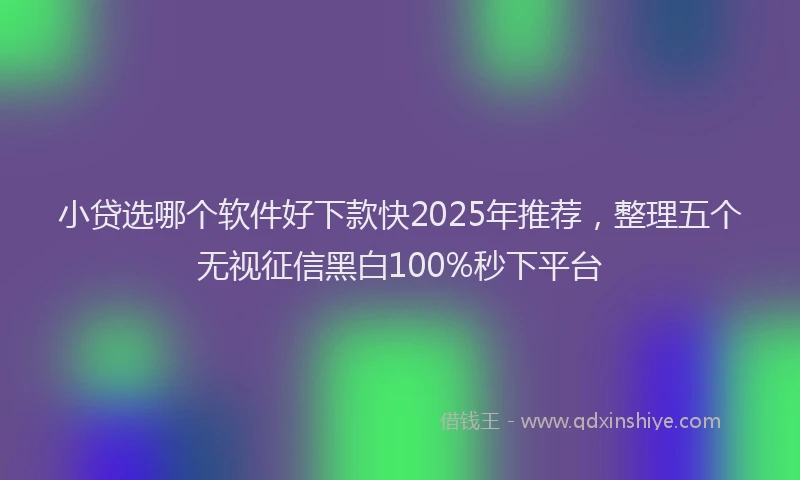 小贷选哪个软件好下款快2025年推荐，整理五个无视征信黑白100%秒下平台