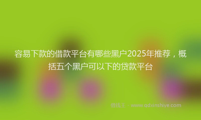 容易下款的借款平台有哪些黑户2025年推荐，概括五个黑户可以下的贷款平台