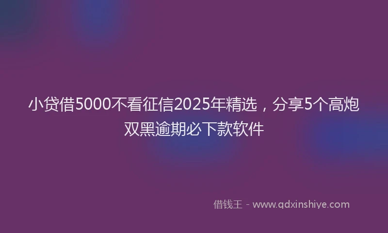 小贷借5000不看征信2025年精选，分享5个高炮双黑逾期必下款软件