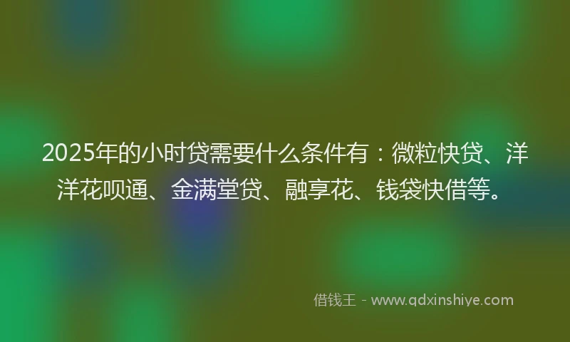 2025年的小时贷需要什么条件有：微粒快贷、洋洋花呗通、金满堂贷、融享花、钱袋快借等。