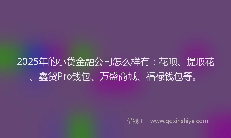2025年的小贷金融公司怎么样有：花呗、提取花、鑫贷Pro钱包、万盛商城、福禄钱包等。