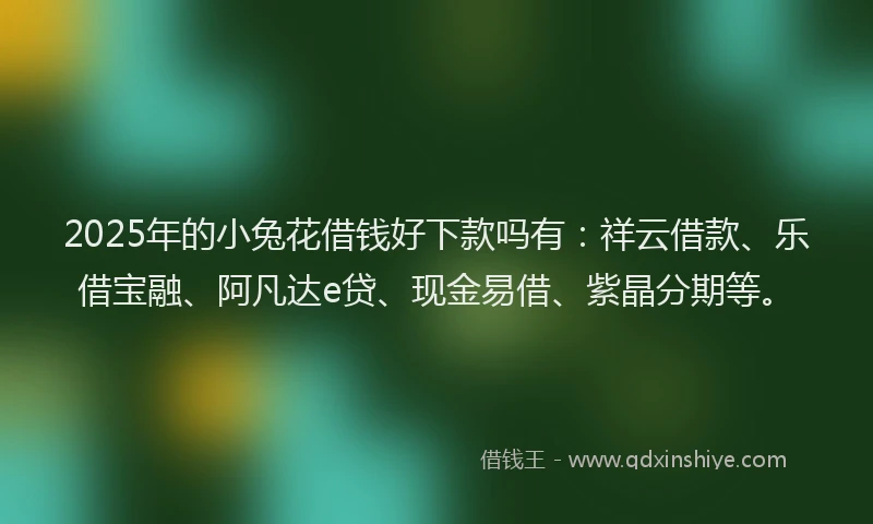 2025年的小兔花借钱好下款吗有：祥云借款、乐借宝融、阿凡达e贷、现金易借、紫晶分期等。