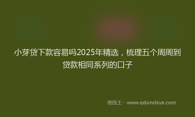 小芽贷下款容易吗2025年精选，梳理五个周周到贷款相同系列的口子