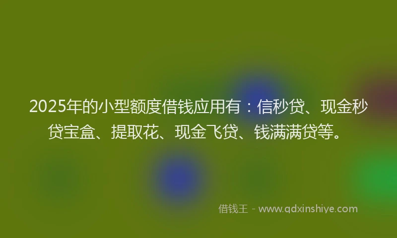 2025年的小型额度借钱应用有：信秒贷、现金秒贷宝盒、提取花、现金飞贷、钱满满贷等。