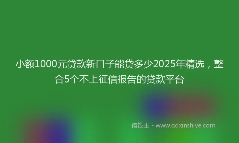 小额1000元贷款新口子能贷多少2025年精选，整合5个不上征信报告的贷款平台