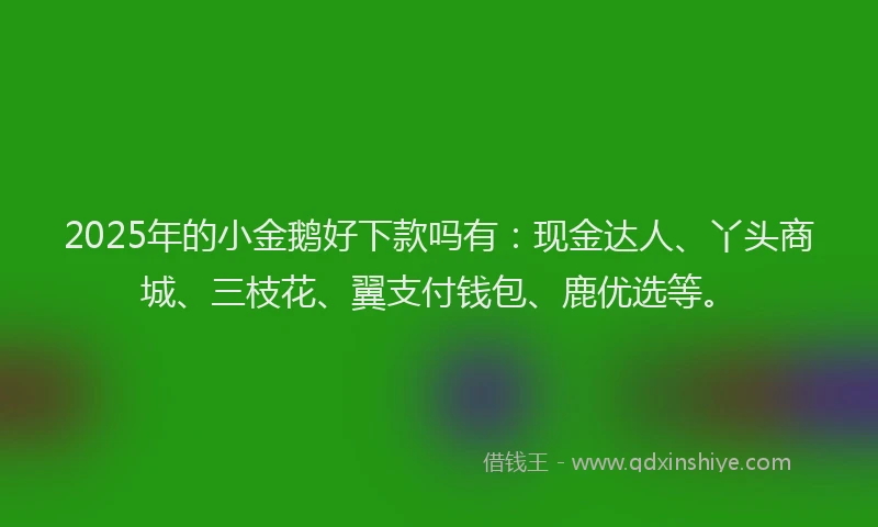 2025年的小金鹅好下款吗有：现金达人、丫头商城、三枝花、翼支付钱包、鹿优选等。