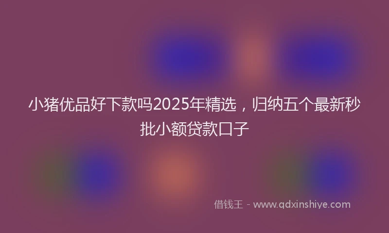 小猪优品好下款吗2025年精选，归纳五个最新秒批小额贷款口子