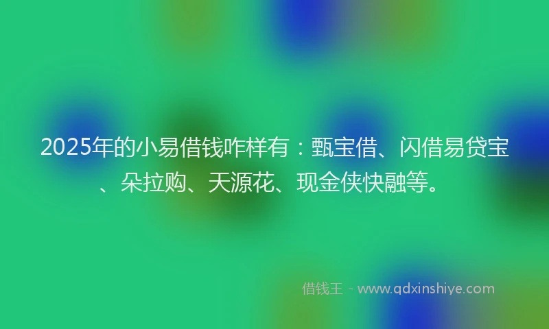 2025年的小易借钱咋样有：甄宝借、闪借易贷宝、朵拉购、天源花、现金侠快融等。