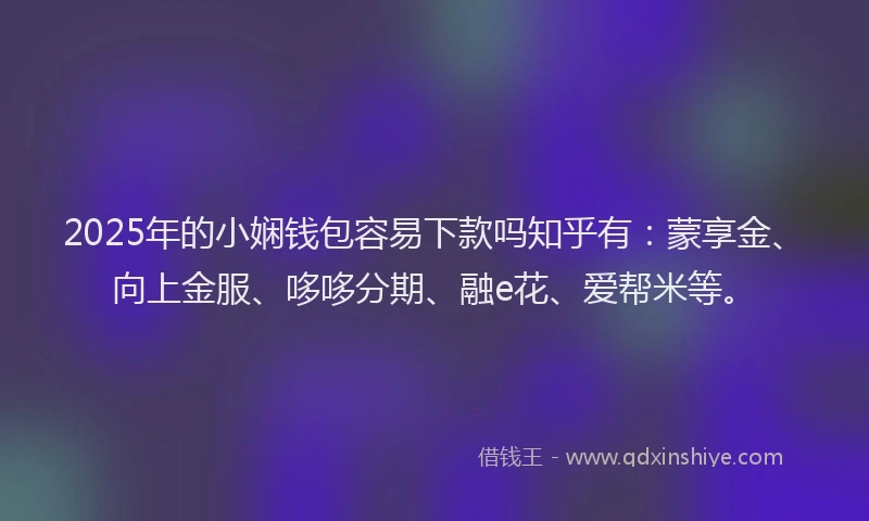 2025年的小娴钱包容易下款吗知乎有：蒙享金、向上金服、哆哆分期、融e花、爱帮米等。