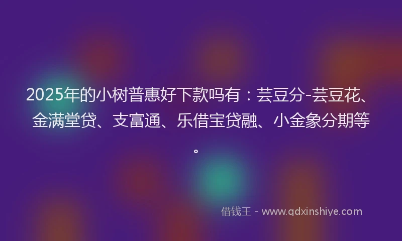 2025年的小树普惠好下款吗有：芸豆分-芸豆花、金满堂贷、支富通、乐借宝贷融、小金象分期等。