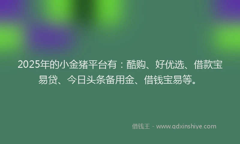 2025年的小金猪平台有：酷购、好优选、借款宝易贷、今日头条备用金、借钱宝易等。