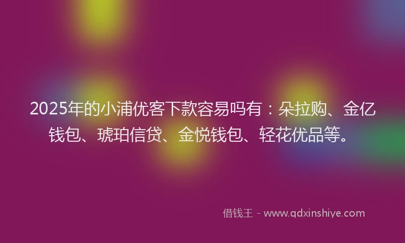 2025年的小浦优客下款容易吗有：朵拉购、金亿钱包、琥珀信贷、金悦钱包、轻花优品等。