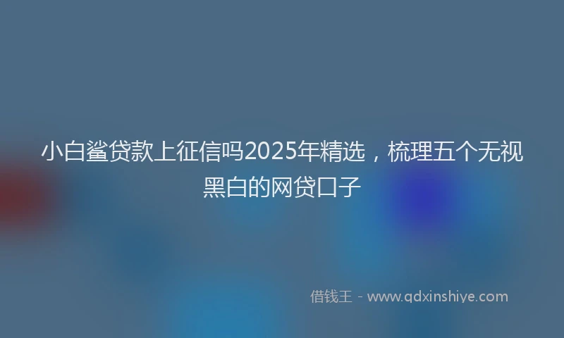 小白鲨贷款上征信吗2025年精选，梳理五个无视黑白的网贷口子