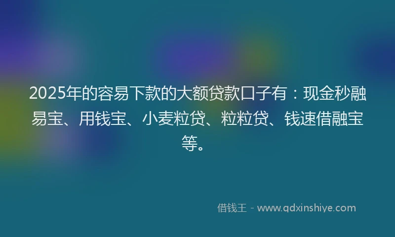 2025年的容易下款的大额贷款口子有：现金秒融易宝、用钱宝、小麦粒贷、粒粒贷、钱速借融宝等。