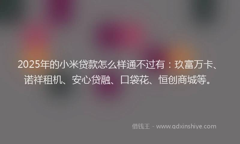 2025年的小米贷款怎么样通不过有：玖富万卡、诺祥租机、安心贷融、口袋花、恒创商城等。