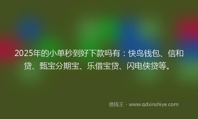2025年的小单秒到好下款吗有：快鸟钱包、信和贷、甄宝分期宝、乐借宝贷、闪电侠贷等。