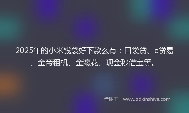 2025年的小米钱袋好下款么有：口袋贷、e贷易、金帝租机、金瀛花、现金秒借宝等。