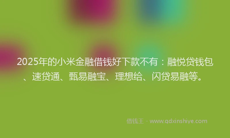 2025年的小米金融借钱好下款不有：融悦贷钱包、速贷通、甄易融宝、理想给、闪贷易融等。