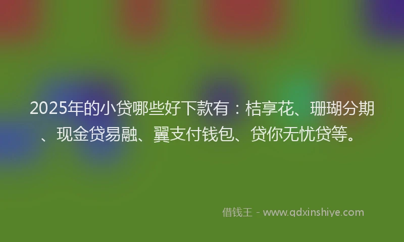 2025年的小贷哪些好下款有：桔享花、珊瑚分期、现金贷易融、翼支付钱包、贷你无忧贷等。