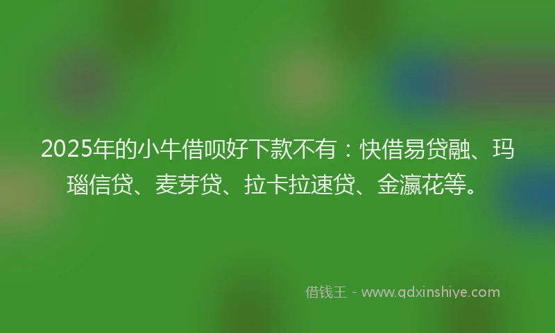2025年的小牛借呗好下款不有：快借易贷融、玛瑙信贷、麦芽贷、拉卡拉速贷、金瀛花等。