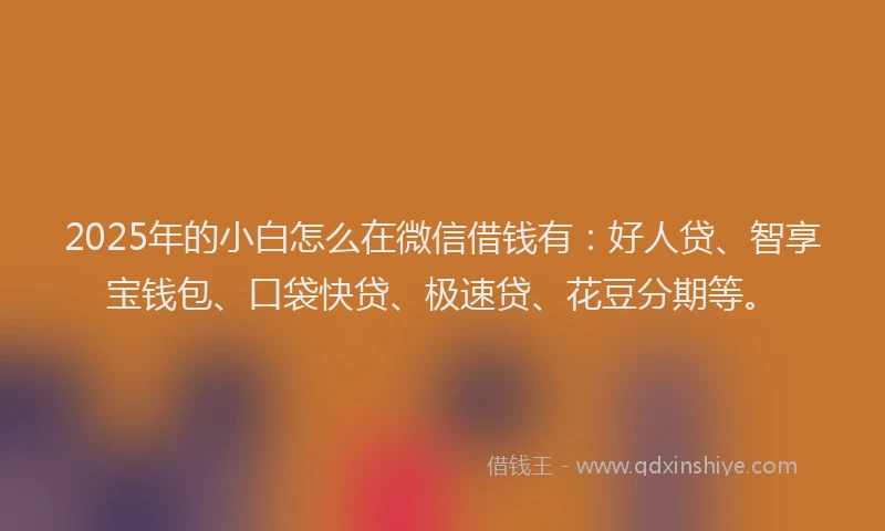 2025年的小白怎么在微信借钱有：好人贷、智享宝钱包、口袋快贷、极速贷、花豆分期等。