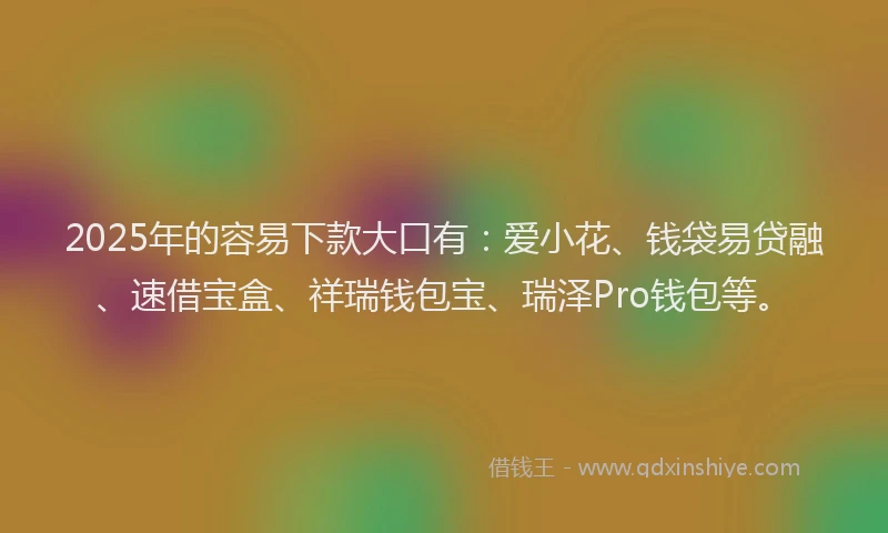 2025年的容易下款大口有：爱小花、钱袋易贷融、速借宝盒、祥瑞钱包宝、瑞泽Pro钱包等。