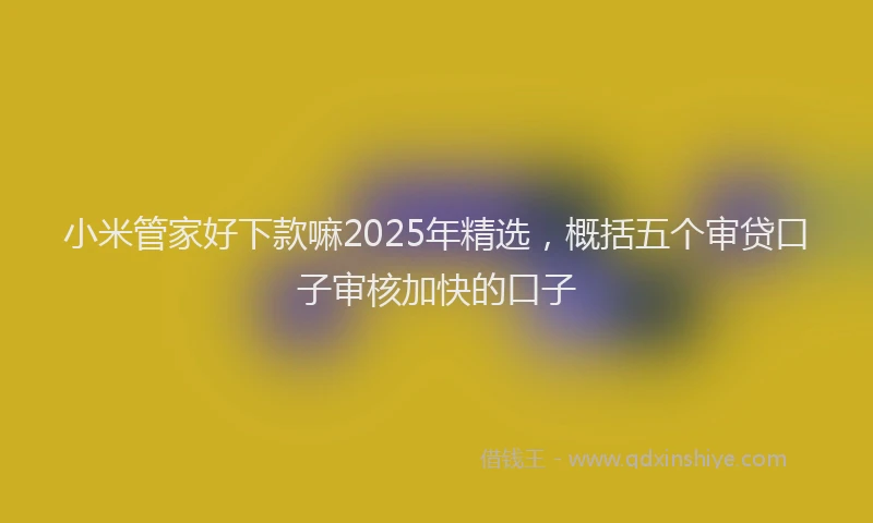 小米管家好下款嘛2025年精选，概括五个审贷口子审核加快的口子