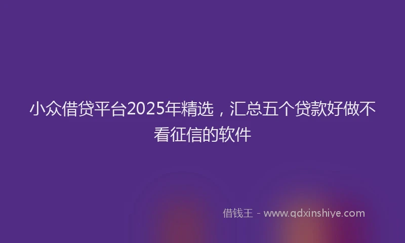 小众借贷平台2025年精选，汇总五个贷款好做不看征信的软件
