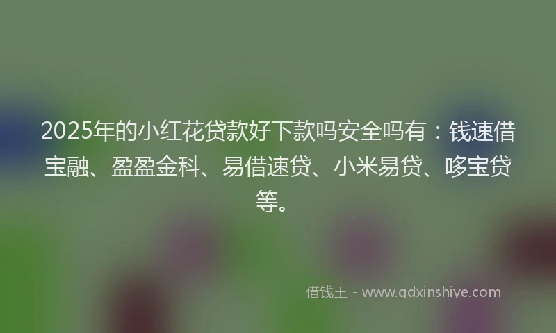 2025年的小红花贷款好下款吗安全吗有：钱速借宝融、盈盈金科、易借速贷、小米易贷、哆宝贷等。
