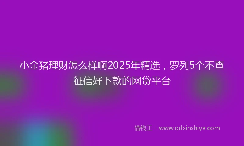 小金猪理财怎么样啊2025年精选，罗列5个不查征信好下款的网贷平台