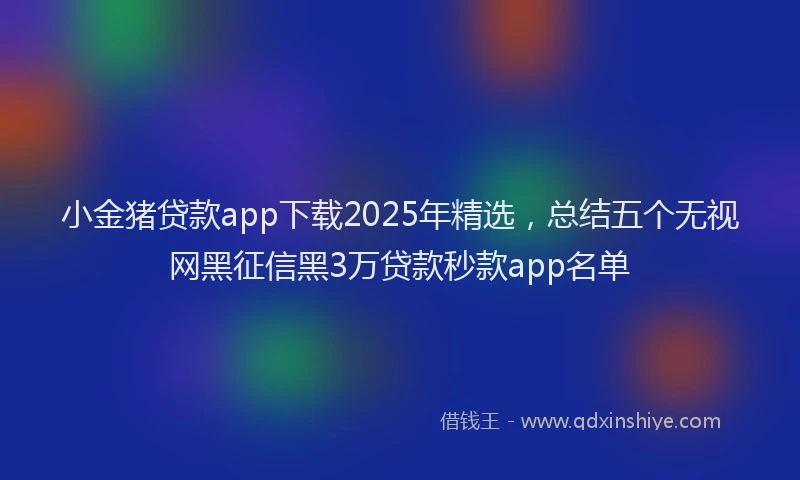 小金猪贷款app下载2025年精选，总结五个无视网黑征信黑3万贷款秒款app名单