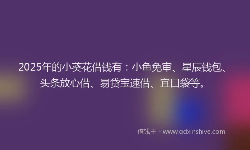 2025年的小葵花借钱有：小鱼免审、星辰钱包、头条放心借、易贷宝速借、宜口袋等。