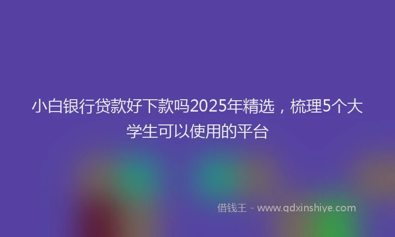 小白银行贷款好下款吗2025年精选，梳理5个大学生可以使用的平台